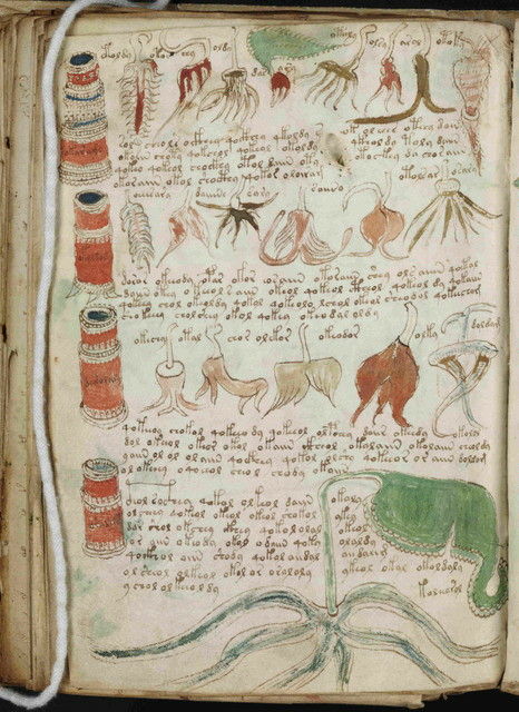 248.jpg