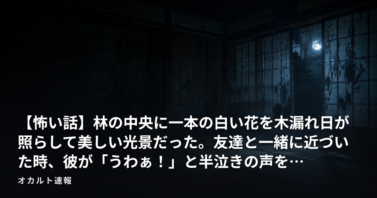 【怖い話】林の中央に一本の白い花を木漏れ日が照らして美しい光景だった。友達と一緒に近づいた時、彼が「うわぁ！」と半泣きの声を…
