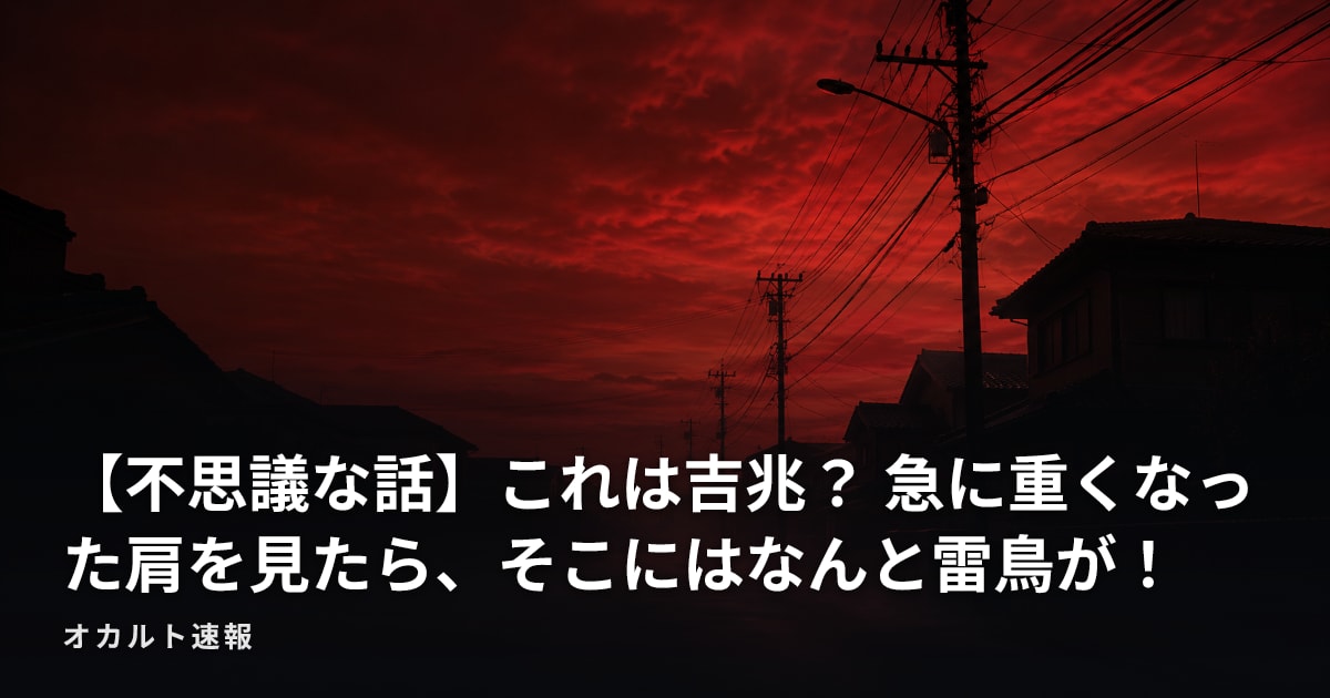 【不思議な話】これは吉兆？ 急に重くなった肩を見たら、そこにはなんと雷鳥が！