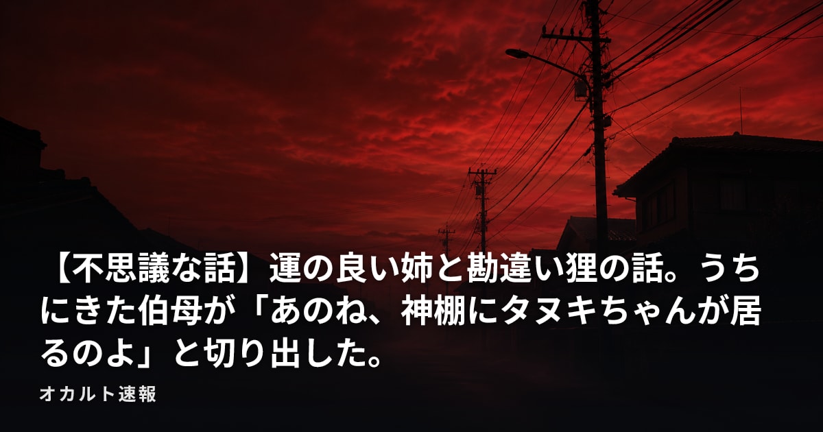 【不思議な話】運の良い姉と勘違い狸の話。うちにきた伯母が「あのね、神棚にタヌキちゃんが居るのよ」と切り出した。
