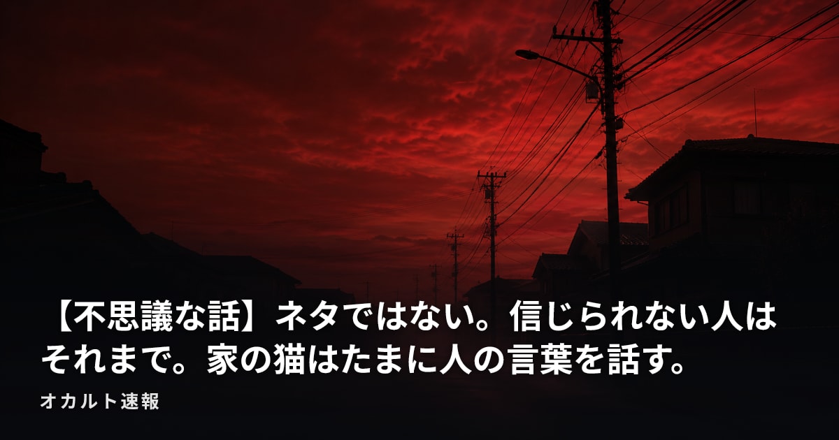 【不思議な話】ネタではない。信じられない人はそれまで。家の猫はたまに人の言葉を話す。