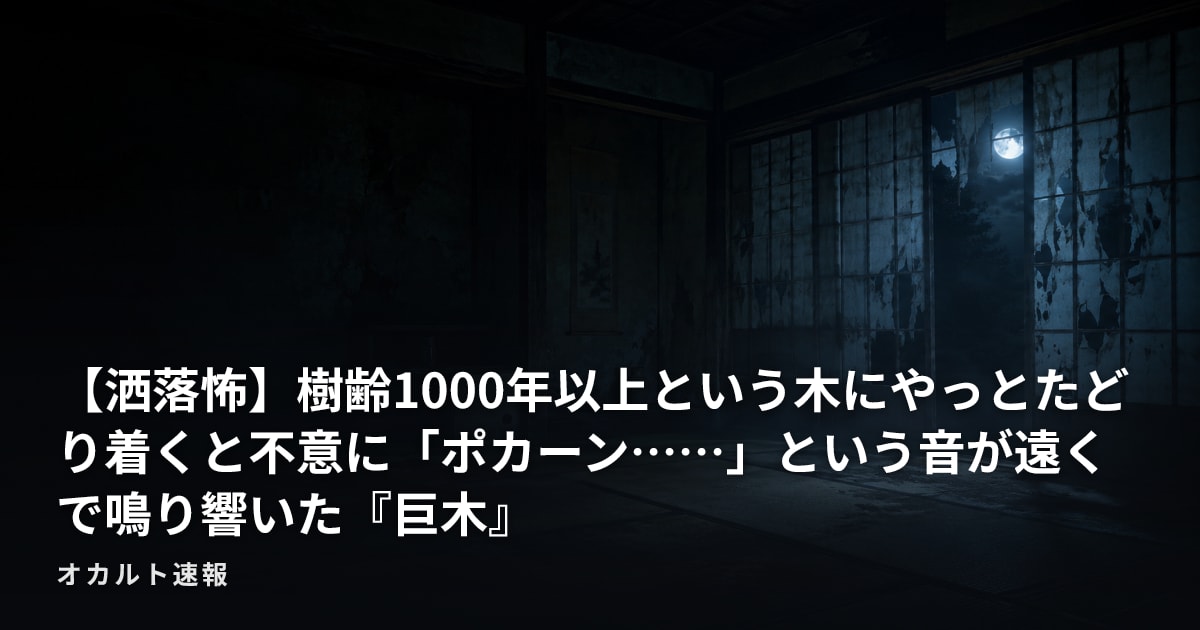 【洒落怖】樹齢1000年以上という木にやっとたどり着くと不意に「ポカーン……」という音が遠くで鳴り響いた『巨木』