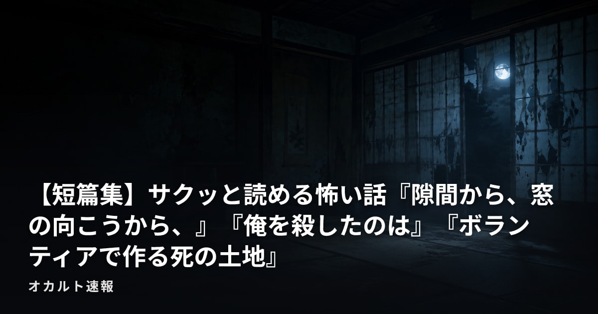 【短篇集】サクッと読める怖い話『隙間から、窓の向こうから、』『俺を殺したのは』『ボランティアで作る死の土地』