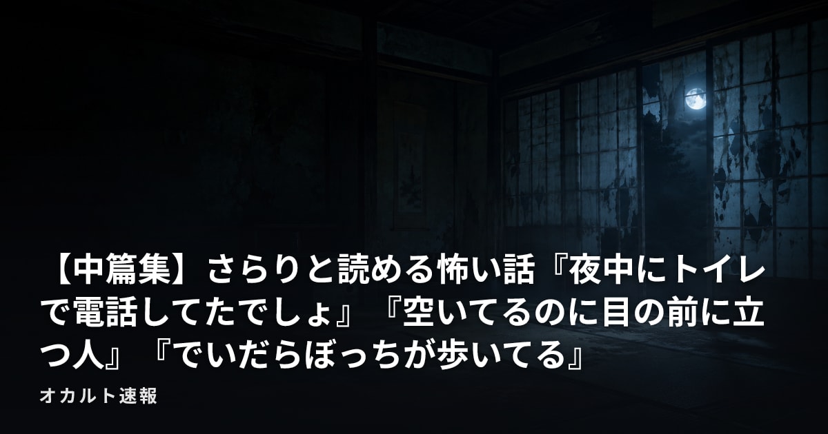 【中篇集】さらりと読める怖い話『夜中にトイレで電話してたでしょ』『空いてるのに目の前に立つ人』『でいだらぼっちが歩いてる』