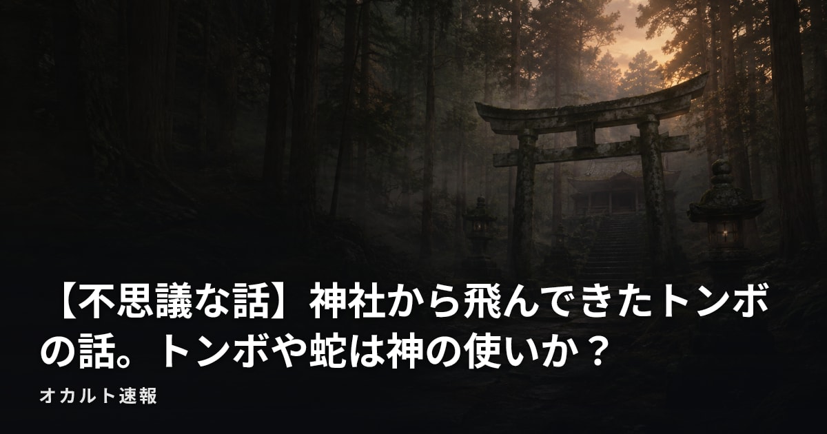【不思議な話】神社から飛んできたトンボの話。トンボや蛇は神の使いか？