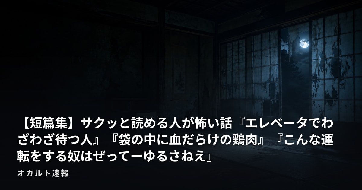 【短篇集】サクッと読める人が怖い話『エレベータでわざわざ待つ人』『袋の中に血だらけの鶏肉』『こんな運転をする奴はぜってーゆるさねえ』