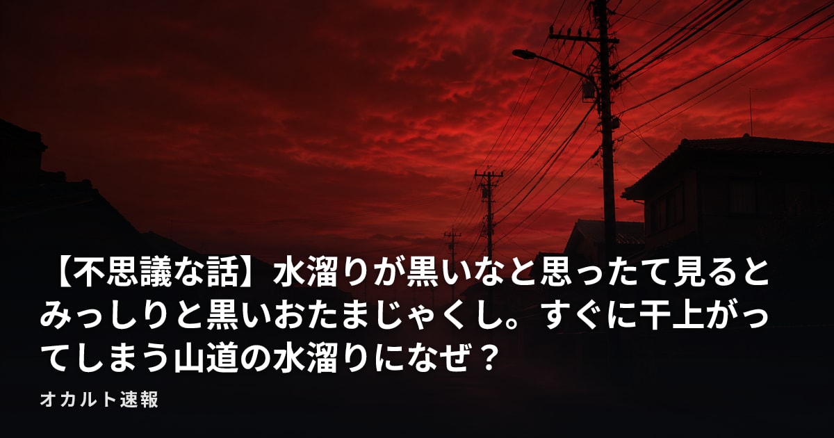 【不思議な話】水溜りが黒いなと思ったて見るとみっしりと黒いおたまじゃくし。すぐに干上がってしまう山道の水溜りになぜ？