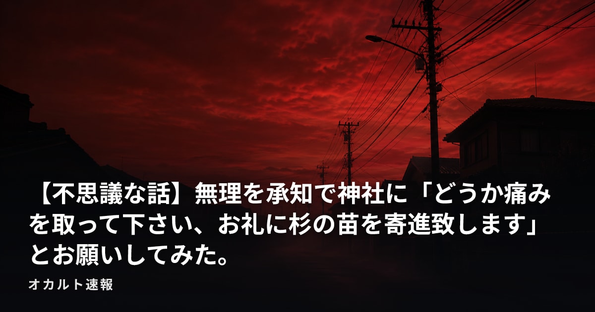 【不思議な話】無理を承知で神社に「どうか痛みを取って下さい、お礼に杉の苗を寄進致します」とお願いしてみた。