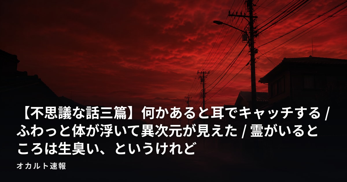 【不思議な話三篇】何かあると耳でキャッチする / ふわっと体が浮いて異次元が見えた / 霊がいるところは生臭い、というけれど