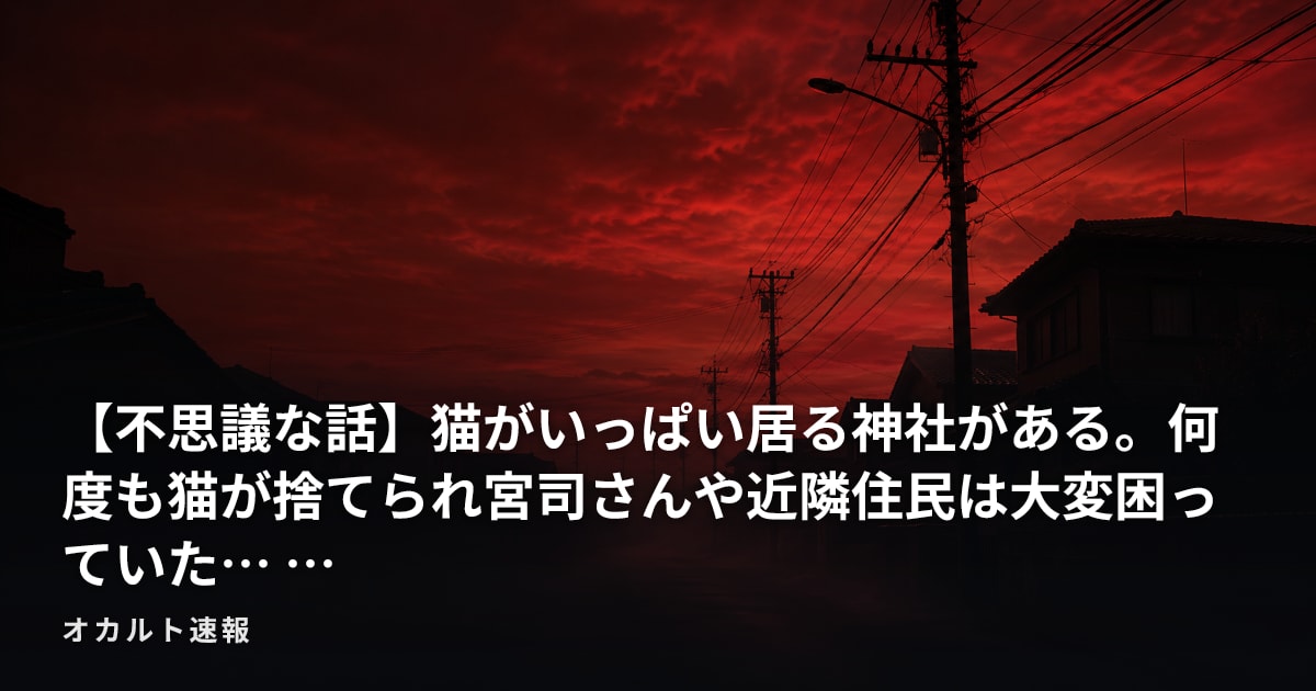 【不思議な話】猫がいっぱい居る神社がある。何度も猫が捨てられ宮司さんや近隣住民は大変困っていた… …