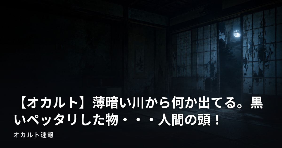 【オカルト】薄暗い川から何か出てる。黒いペッタリした物・・・人間の頭！