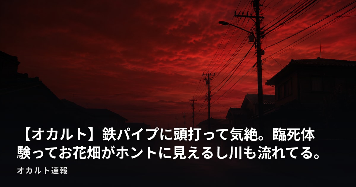【オカルト】鉄パイプに頭打って気絶。臨死体験ってお花畑がホントに見えるし川も流れてる。
