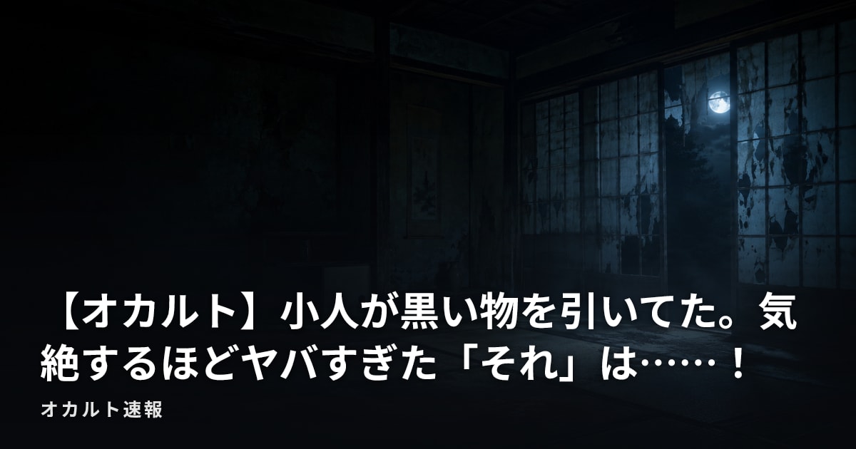 【オカルト】小人が黒い物を引いてた。気絶するほどヤバすぎた「それ」は……！