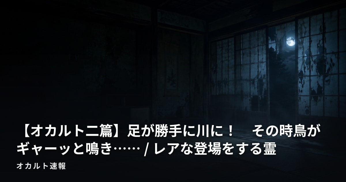 【オカルト二篇】足が勝手に川に！　その時鳥がギャーッと鳴き…… / レアな登場をする霊