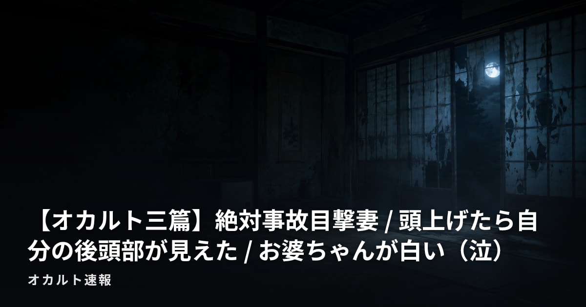【オカルト三篇】絶対事故目撃妻 / 頭上げたら自分の後頭部が見えた / お婆ちゃんが白い（泣）