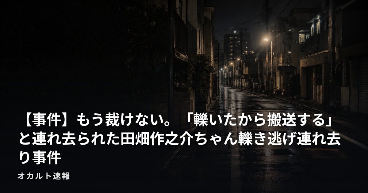 【事件】もう裁けない。「轢いたから搬送する」と連れ去られた田畑作之介ちゃん轢き逃げ連れ去り事件